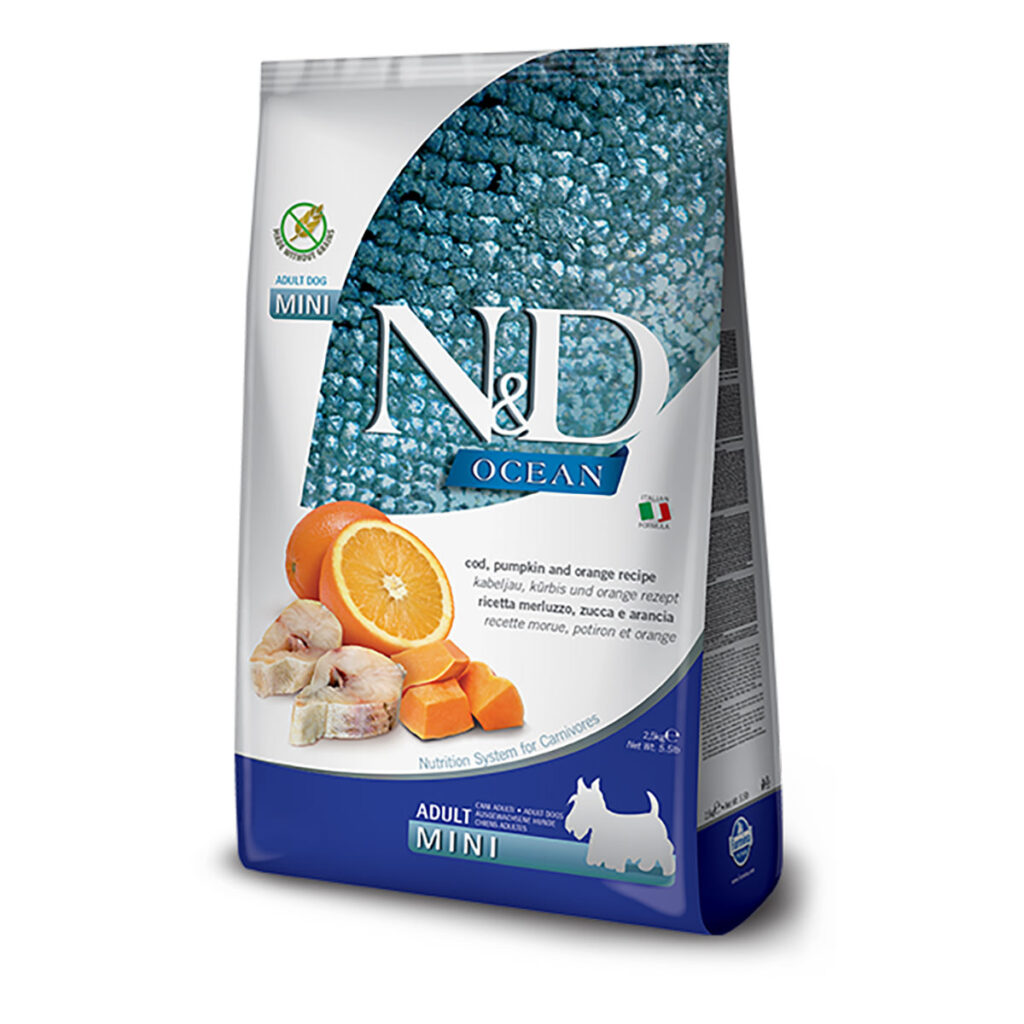 COD,-PUMPKIN-&-ORANGE-ADULT-MINI