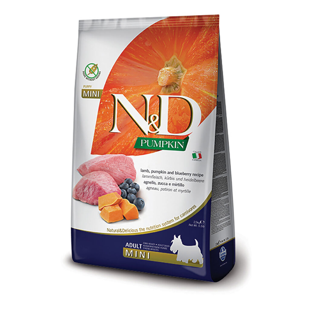 ND-Pumpkin-adult-mini-LAMB