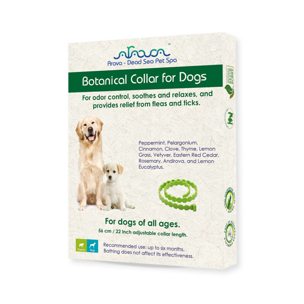 Botanical dog collar 2024