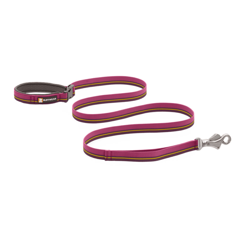 40304-Flat-Out-Leash-Wildflower-Horizon-SMALL_820x550 copy
