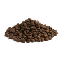 Essential-Beginning-12,5kg2