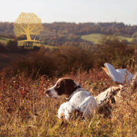 Essential-Estate-living