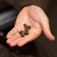 Essential-Foods-Mini-Delights-Duck-100g3