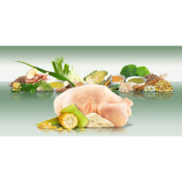 Piscanec-za-odrasle-pse