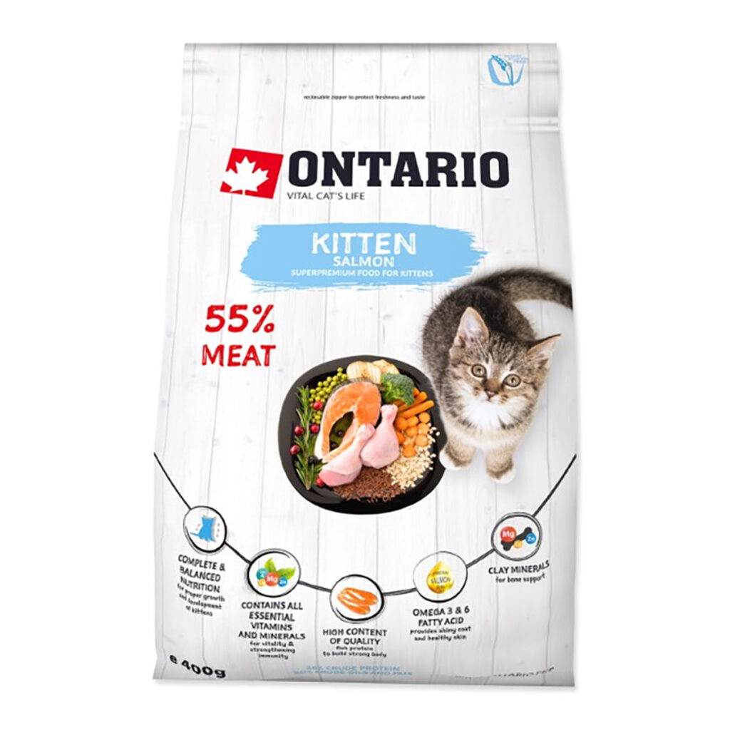 Ontario-Kitten---losos