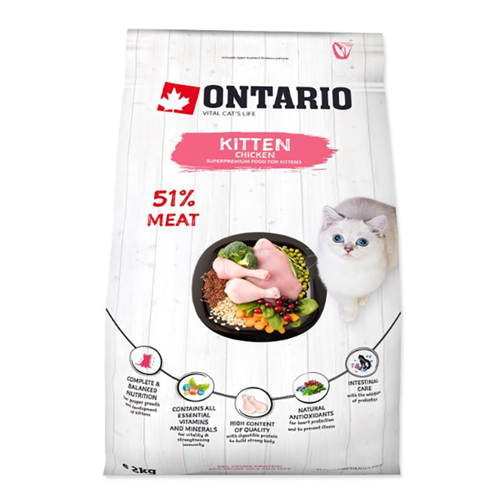 Ontario-Kitten---piscanec