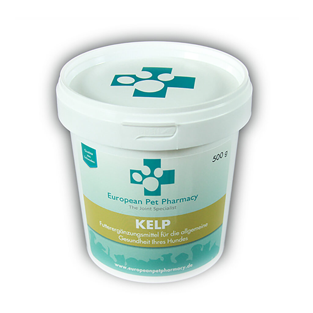 Kelp copy111