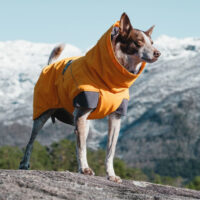 Hurtta_Expedition_Parka_Oranzna_Pes