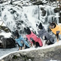 hurtta_expeditionparka9_281f48eb-59b7-4eae-b869-b120d5f99ca6_2000x