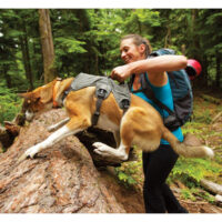 ruffwear_webmaster_pes