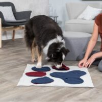 21aec739250a8b1cbff638a5558d922a