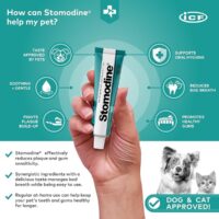 81yZnoEhzsL._AC_UF894,1000_QL80_