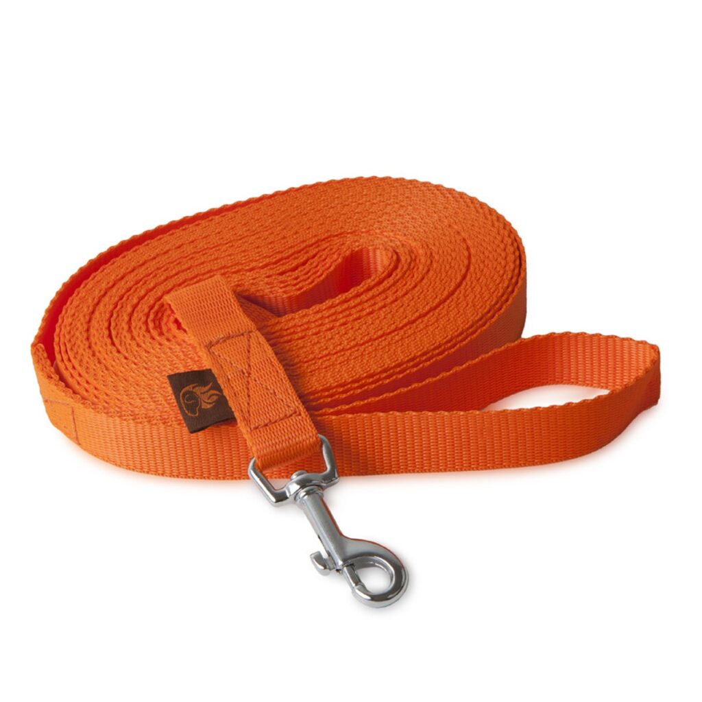 firedog_tracking_leash_20mm_classic_snap_hook_orange-39937