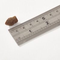 puppy-mini-morsels-ruler_1
