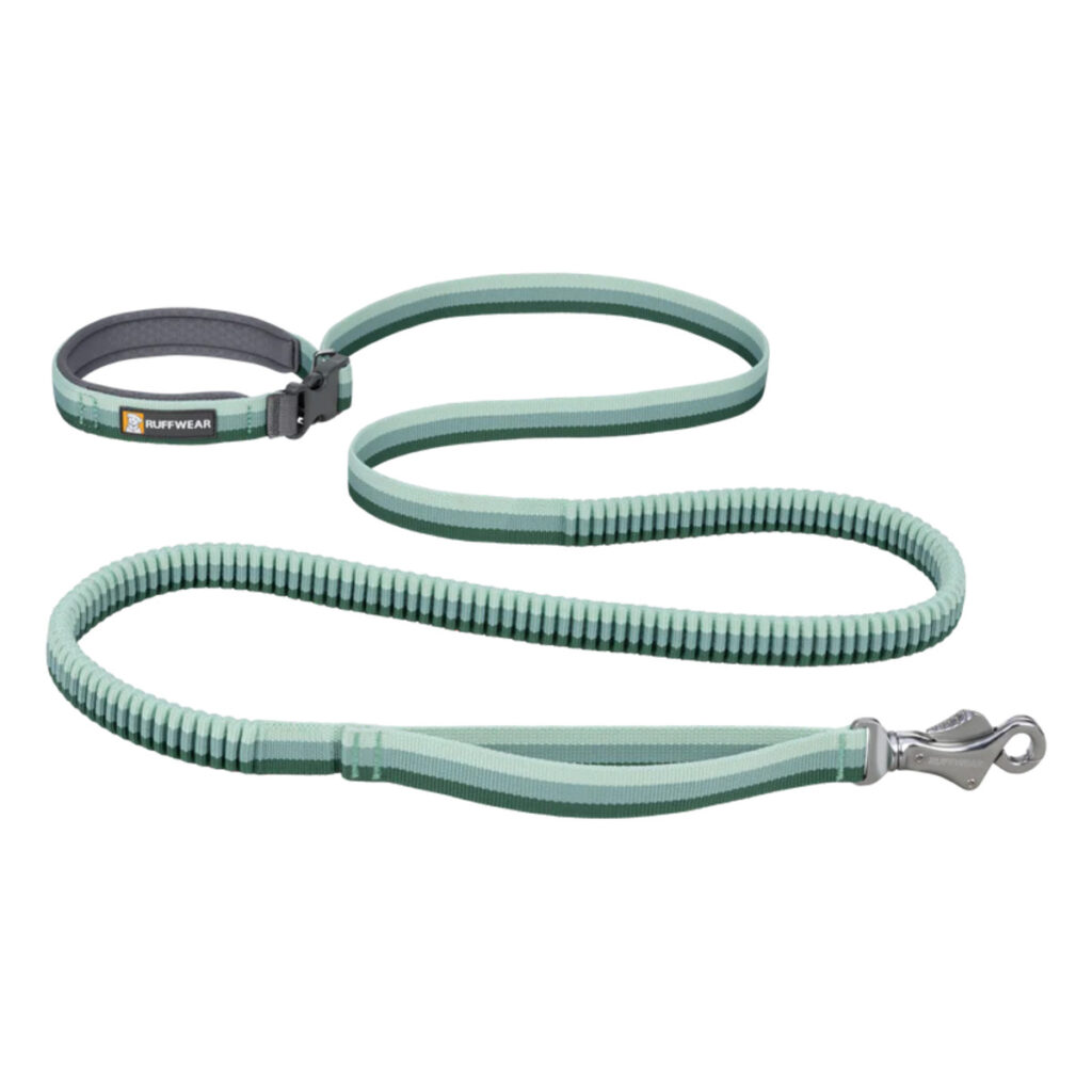 40356_RoamerLeash_RiverRockGreen_SMALL_dae7ee43-31de-4877-b4fd-130816314bff