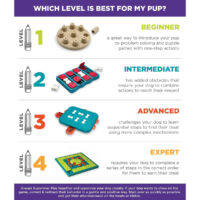 Multipuzzle-Puzzle-Levels