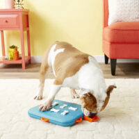 Outward_Hound_Nina_Ottosson_Dog_Casino_1200_x_1200
