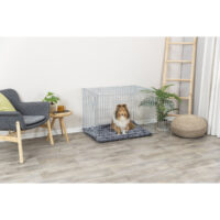 PHO_PRO_DOG_3924-3_#SALL_#AWK_#V1