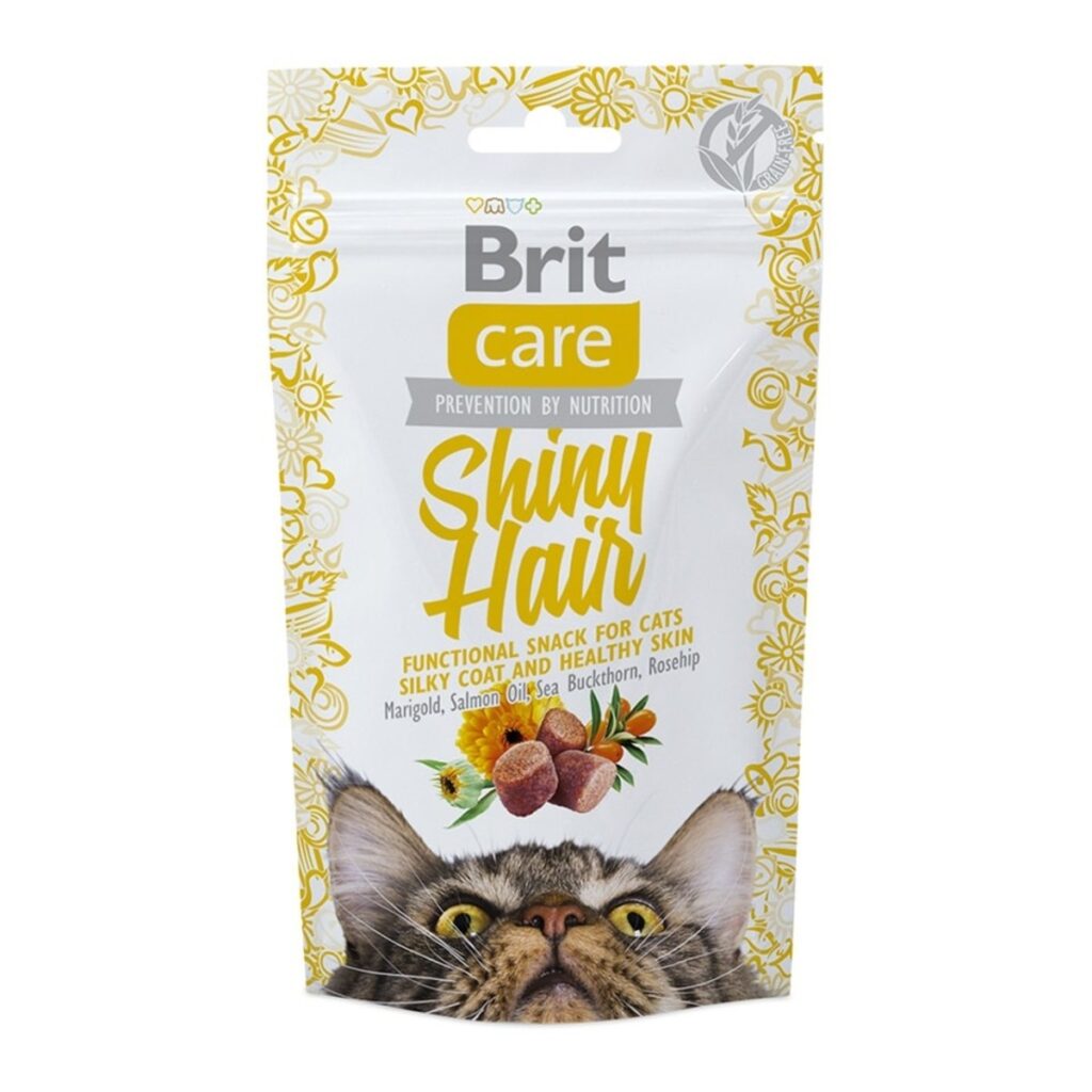 brit-cat-shinyhair (1)