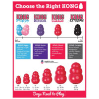 choosetherightkon_guide_1400x