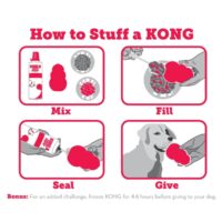 how-to-stuff-a-kong-3-zoom