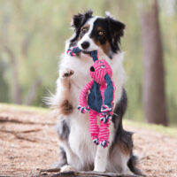 kong-floppy-knots-coelho-nkf32e2 (1)