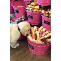 Chalet-Chicago-pet-chews-earth-animal-no-hide-dog-04_1800x1800.webp