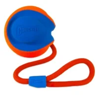 Chuckit-Rope-Fetch-Dog-Toy-Indoor-And-Outdoor-Dog-Toy-Pack-of-1_b6c96b03-3610-407f-a3ab-3bbae8439ad8.df04cc691319a343ba8f7a2f50298ae5