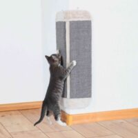 PHO_PRO_CAT_43435-1_SALL_AWK_V1.jpg