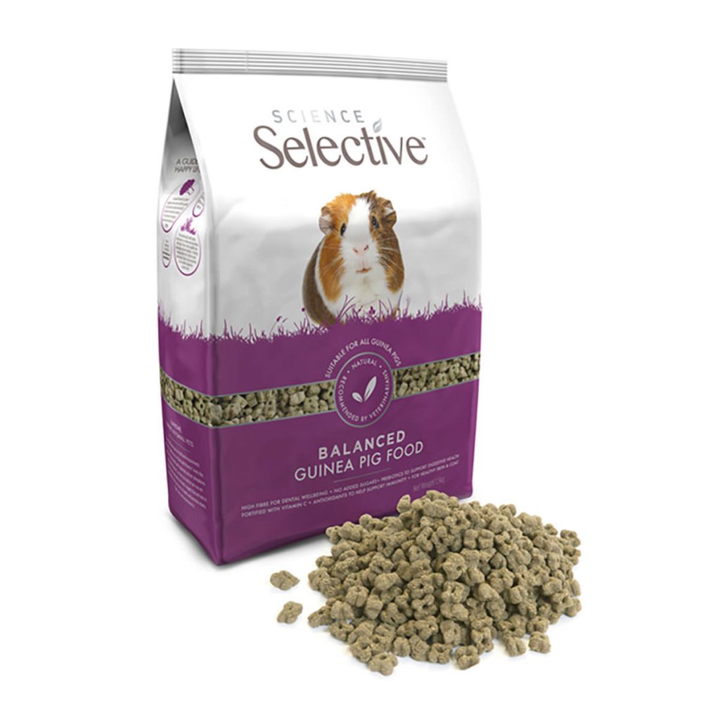 Selective-morski-prasicek-1