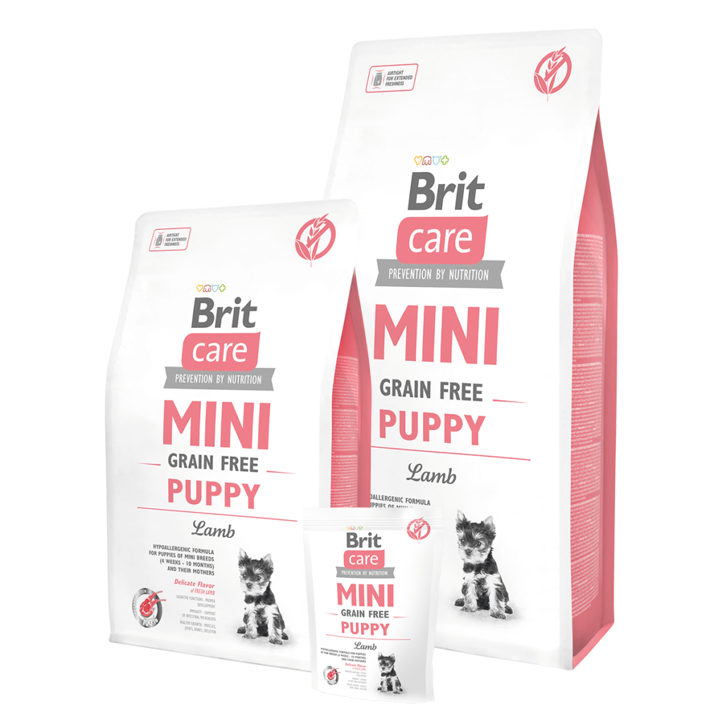 britcaremini-puppy-1.png