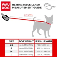 sizes-new-r.leash_.webp