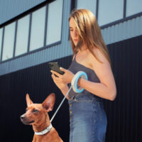 waudog-r-leash-ring-shaped-dog-leash-xs-m-40-kg-29-m-blue-2.jpg