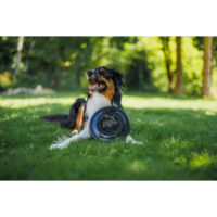 4be85bc3ad0d292f64b6105157d9f2b5bbfa4e52