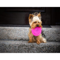 9512da66a5d71b62c951e662f4c116ac9f4e74f8