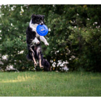 a2cec702c0d2ae46a266fba0b8867f927ef36f08