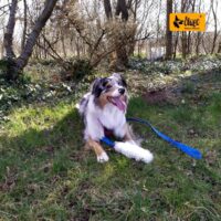 81F1Gl4aCTL._AC_SL1000_