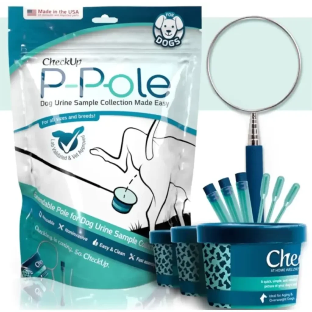 p-pole-600x592 (3)