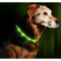 Green_Necklace_4_2048x