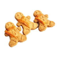 Wanpy_20Christmas_20Ginger_20Bread_20100g