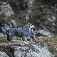 0ab45cb691f4f01b66b139acb8cf77b7