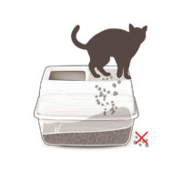 geo10525-5-669a4d6b3caf5_669a4f3075efb