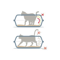 geo10527-geo10528-4-669a417a5b970_669a424a68522