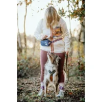 71a317b2-8d44-45db-8f62-ebdc01a160bc