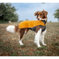 7faf20_a89a79915b1d4448a66298d26b90fee9~mv2