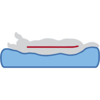 GRA_PRO_VitalBett-Hund-1_#SALL_#AWK_#V1