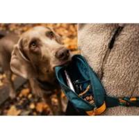 Non-StopDogWear_RachelPohlSignatureSeriesTrailQuestFannyPackTealOak3