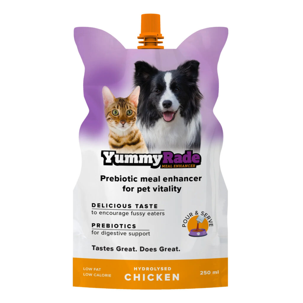 Drinks_YummyRade_Chicken_250ml_EN