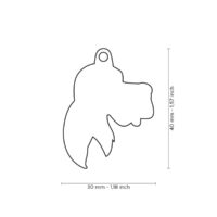 Irish Setter dimenzije