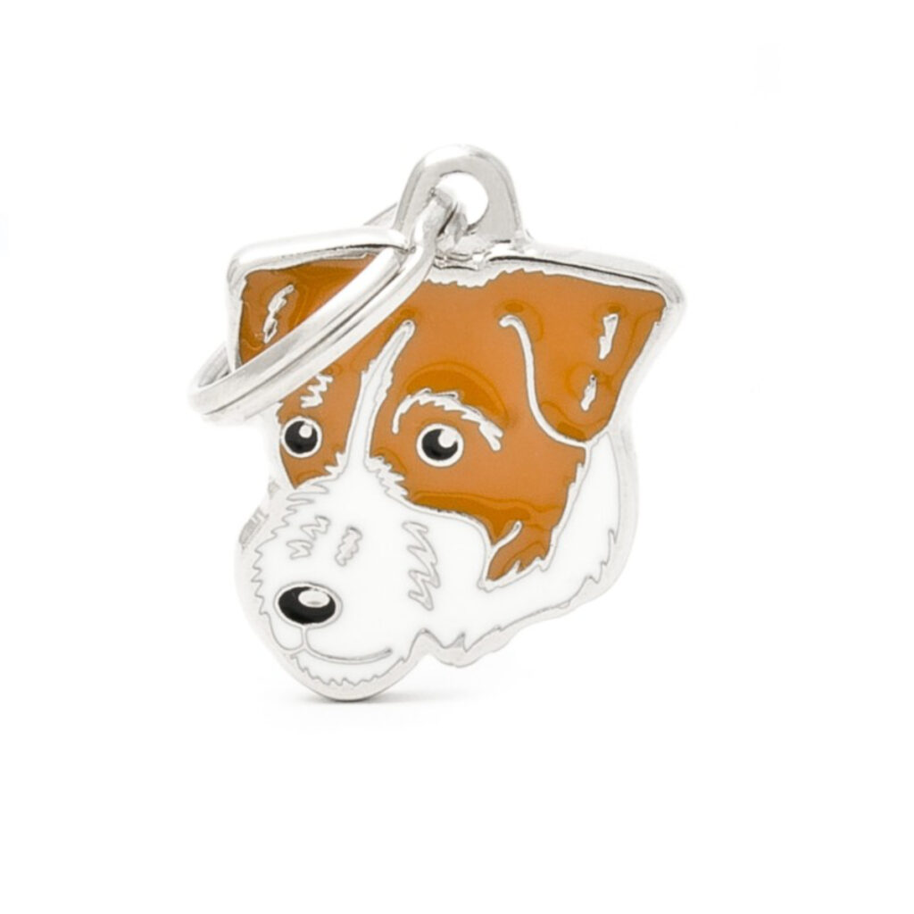 MF10 Jack Russell Broken